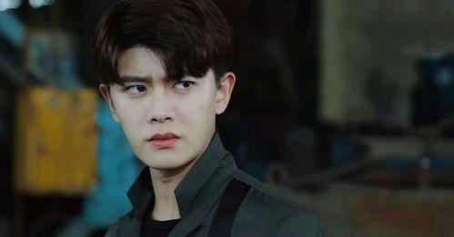 追白鹿的男星 爆料视频,独家爆料视频带你一探究竟  第1张